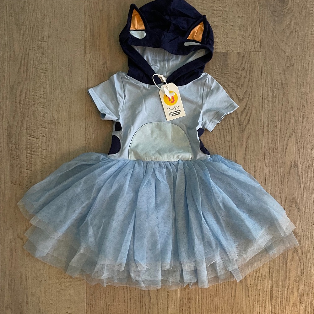 NWT Taylor Joelle Bluey Dress